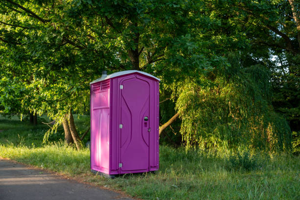 Best Porta potty cleaning services  in Pirtleville, AZ
